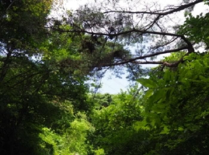 경상남도 창녕군 성산면 대산리 609-2