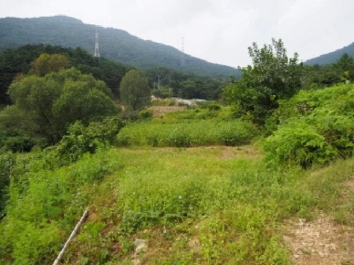 경상남도 창녕군 성산면 대산리 520-2