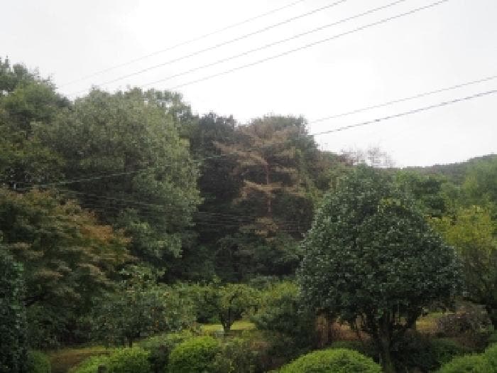 경상남도 밀양시 초동면 덕산리 산245