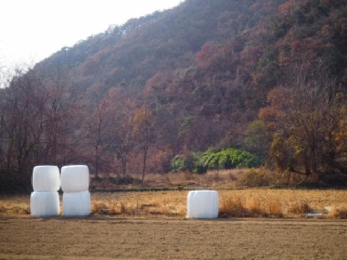 경상남도 밀양시 초동면 덕산리 1291