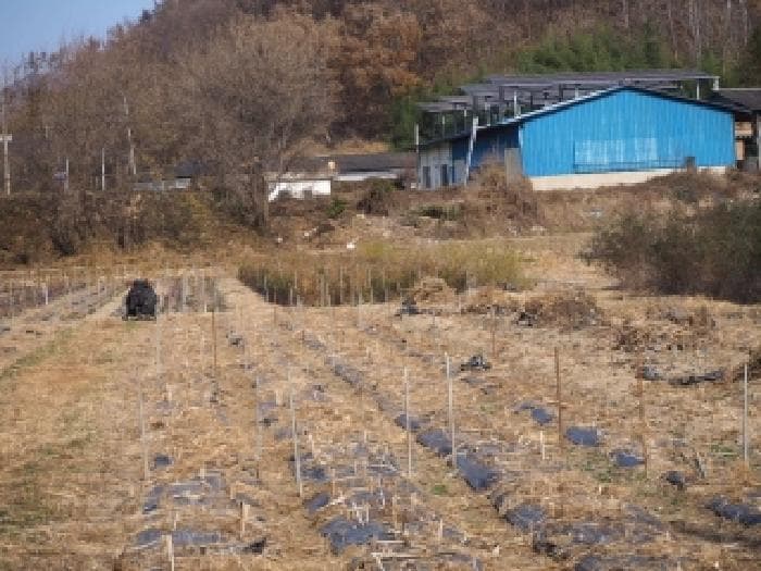 경상남도 밀양시 초동면 덕산리 1454-5