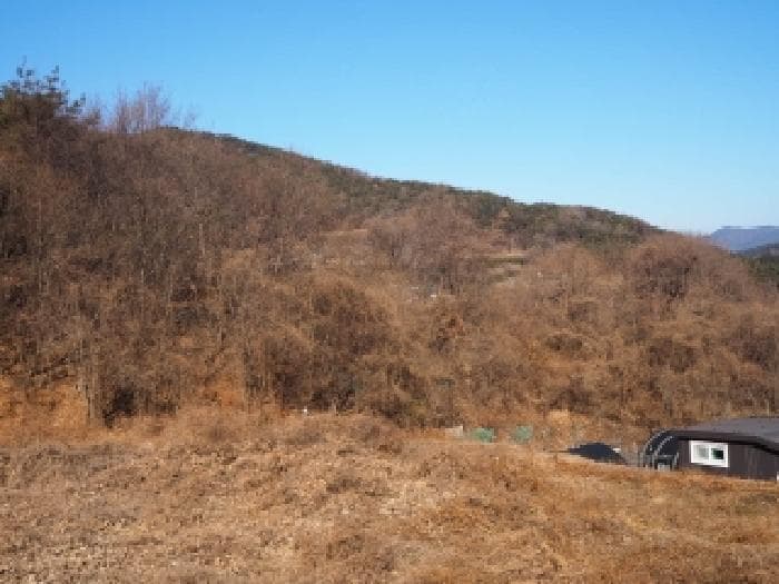 경상남도 밀양시 단장면 감물리 산56