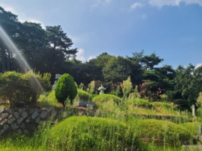 전라남도 장성군 진원면 율곡리 산2-31