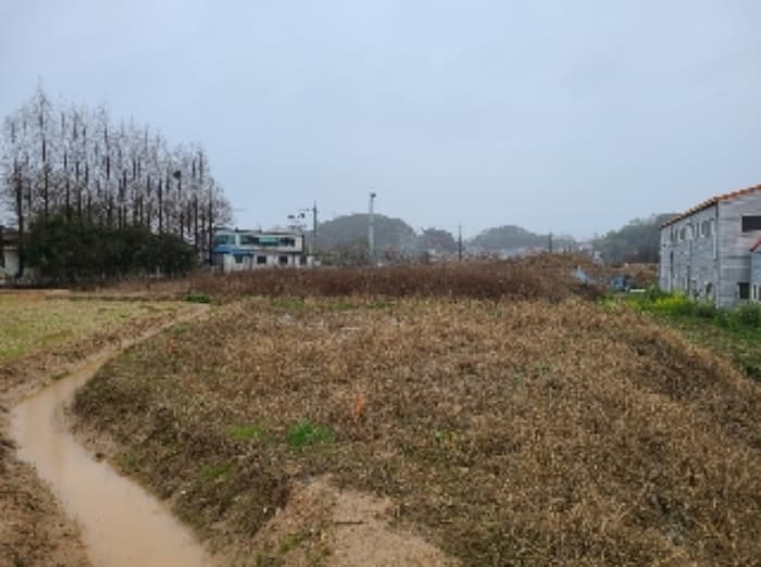 광주광역시 북구 월출동 91