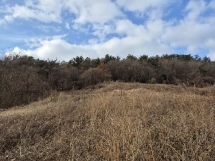 전라남도 영광군 염산면 봉남리 856-53