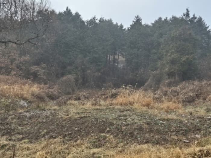 전라남도 곡성군 석곡면 염곡리 1171