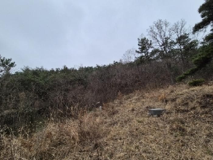 전라남도 나주시 삼영동 산42