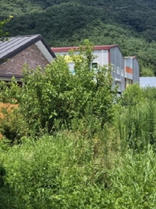 전라남도 장성군 북하면 성암리 798-1