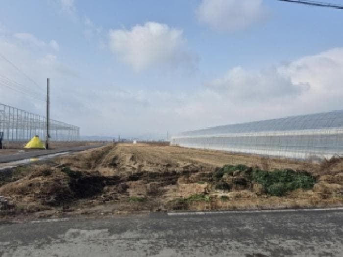 전라남도 화순군 도곡면 효산리 1273-19