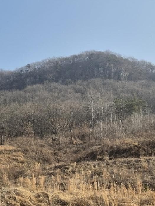 전라남도 화순군 동면 복암리 459-56