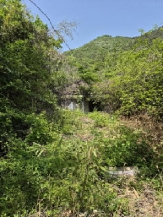 전라남도 화순군 화순읍 벽라리 375-1