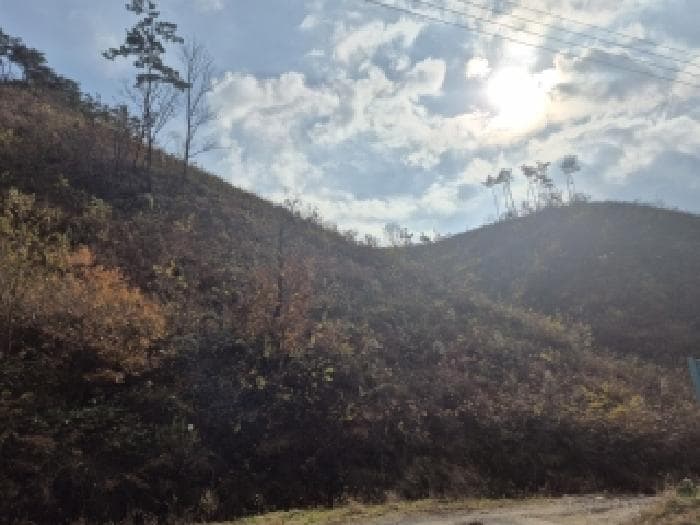 전라남도 화순군 사평면 장전리 산45