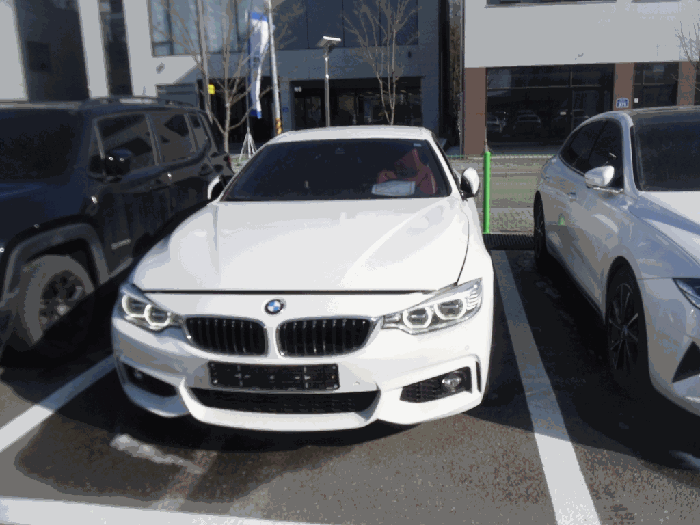 BMW BMW 428i Convertible 2015년식