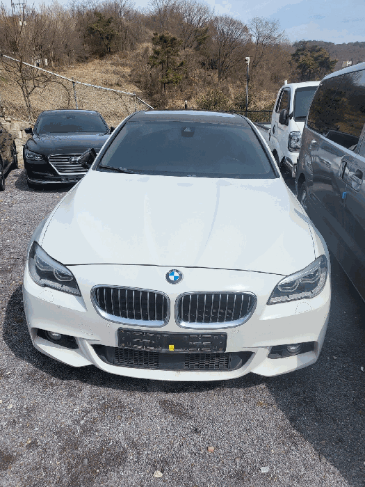BMW BMW 520d 2016년식
