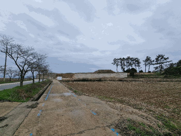 전라남도 무안군 일로읍 복룡리 14-2