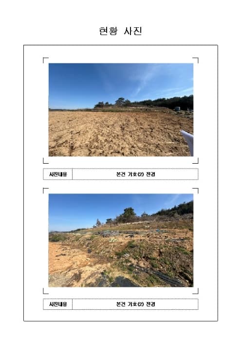 전라남도 영암군 삼호읍 동호리 731