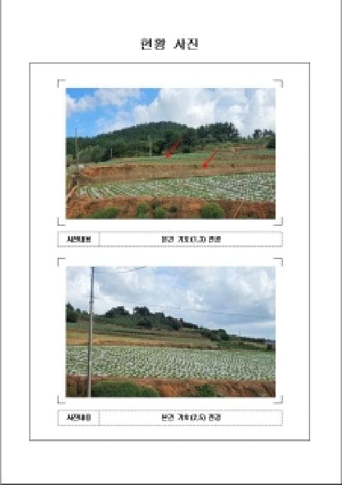 전라남도 무안군 해제면 임수리 339