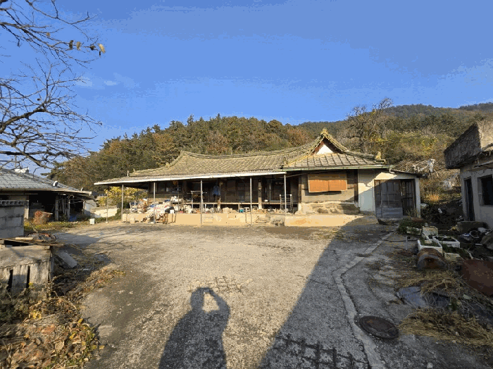 전라남도 함평군 대동면 금산리 산94