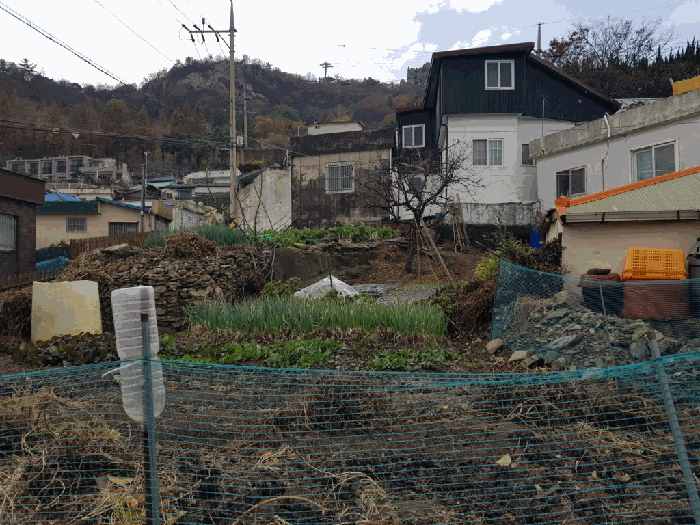 전라남도 무안군 청계면 복룡리 315
