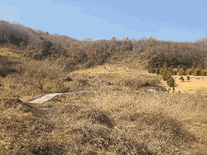 전라남도 함평군 나산면 수상리 718-1