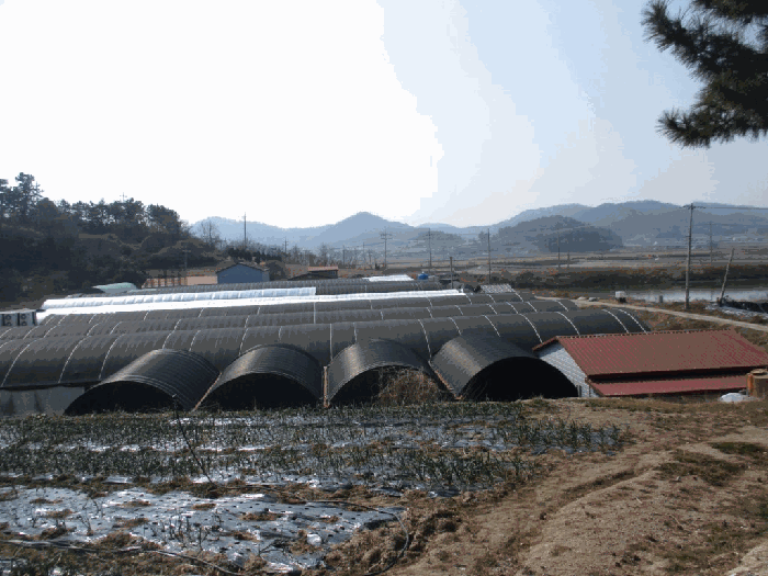 전라남도 신안군 지도읍 내양리 1485 제1동
