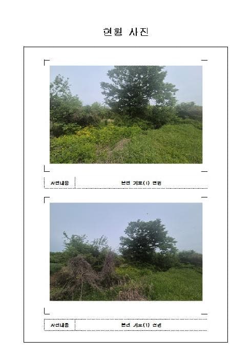 전라남도 함평군 대동면 강운리 991-2