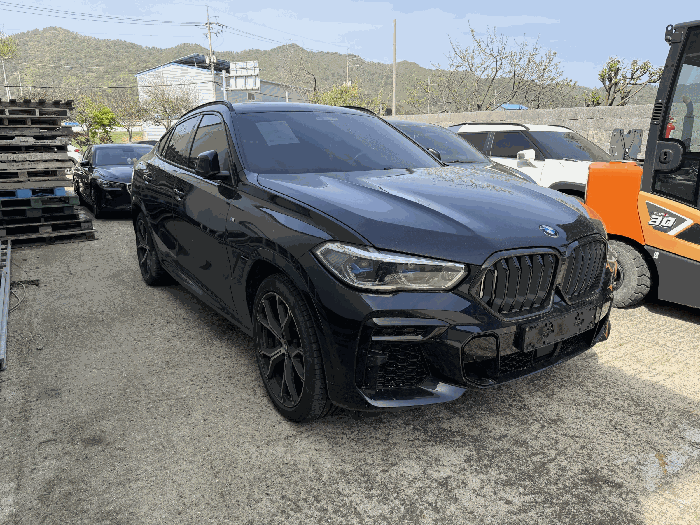 BMW BMW X6 xDrive30d 2023년식