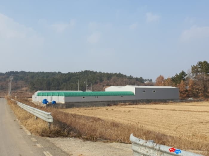 전라남도 강진군 마량면 수인리 517-15