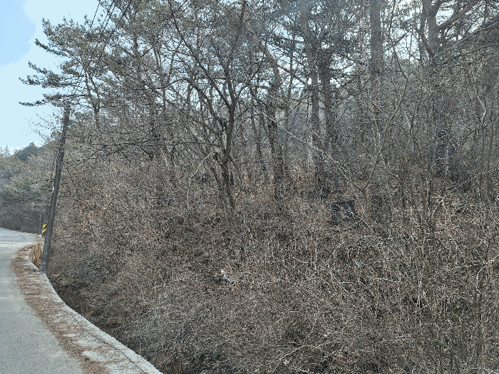 전라남도 장흥군 장동면 북교리 산199-1