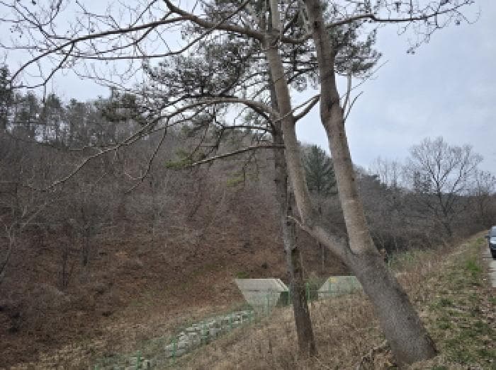 전라남도 장흥군 장평면 어곡리 산113