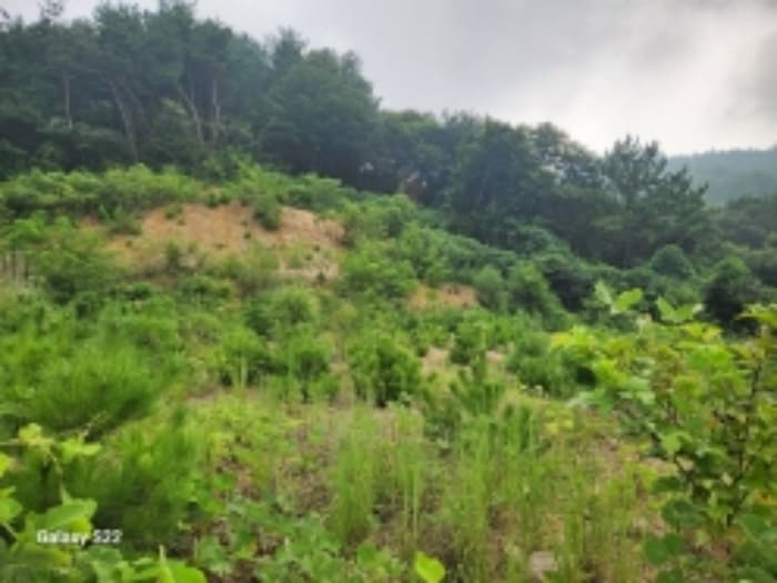 전라남도 순천시 별량면 대룡리 산181