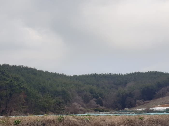 전라남도 여수시 돌산읍 우두리 산41-1