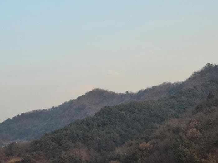 전라남도 여수시 묘도동 산113-1