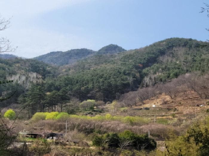 전라남도 광양시 옥룡면 추산리 1454