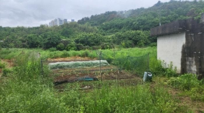 전라남도 여수시 율촌면 조화리 182-4
