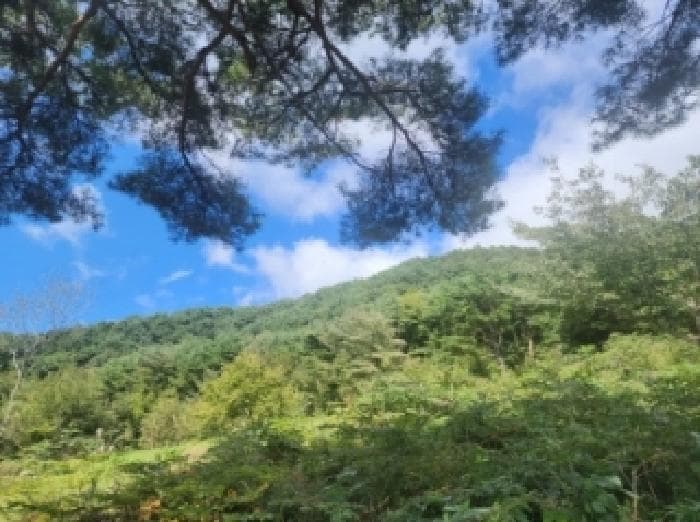 전라남도 구례군 토지면 내동리 1071