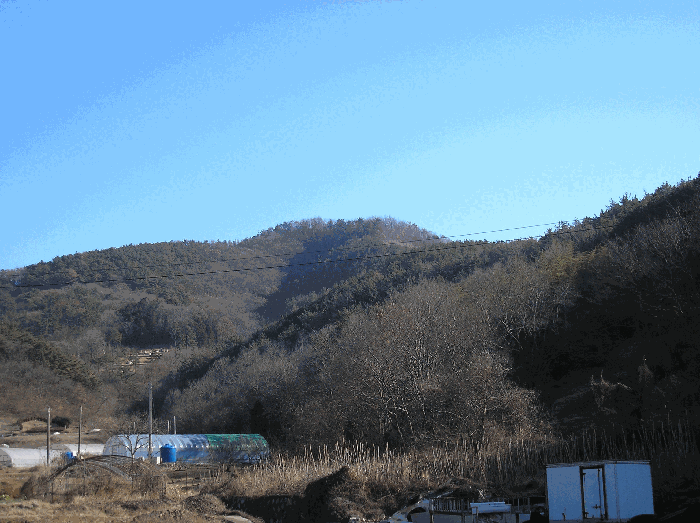 전라남도 여수시 삼산면 동도리 342
