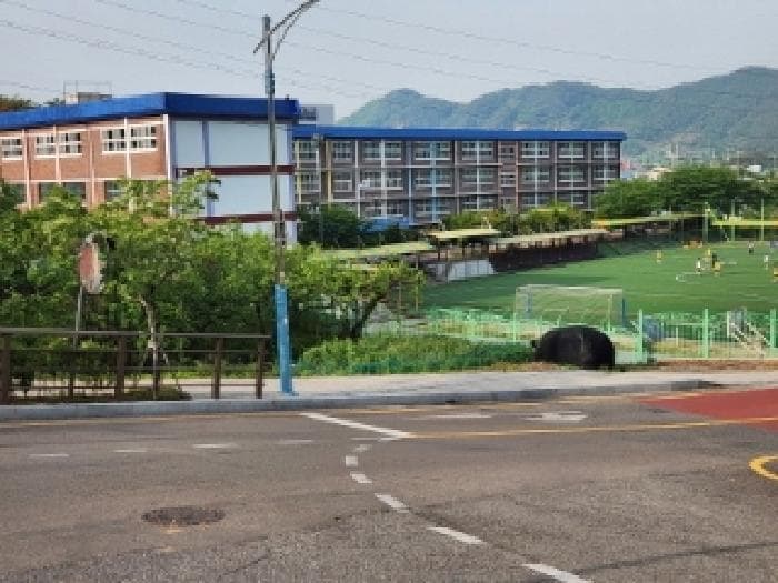 전라남도 광양시 광영동 399-3