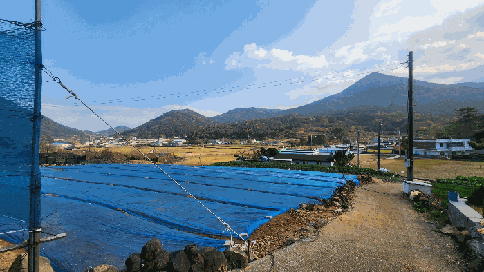 전라남도 여수시 돌산읍 평사리 산377-1