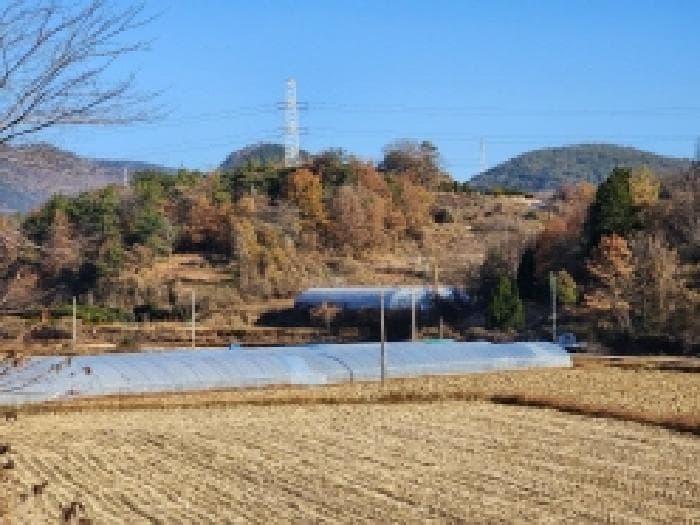 전라남도 여수시 소라면 봉두리 510