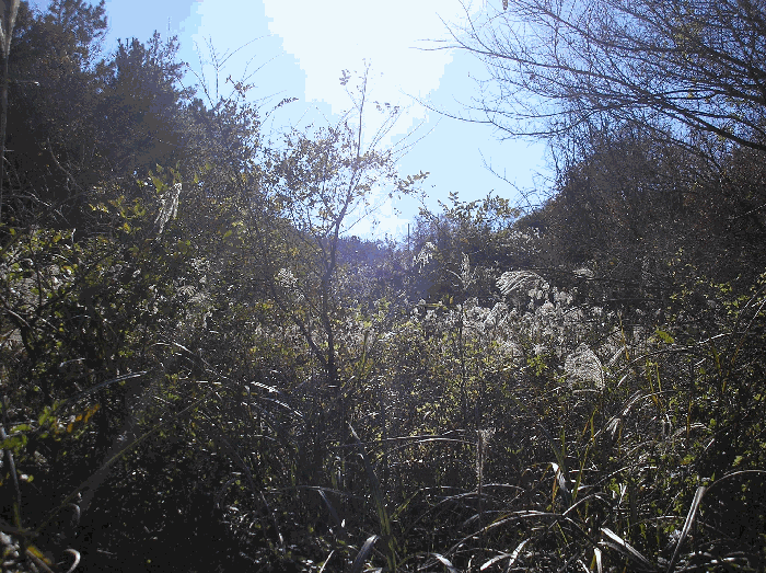 전라남도 고흥군 금산면 석정리 918