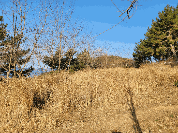 전라남도 여수시 돌산읍 군내리 1017-6