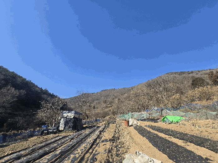 전라남도 여수시 덕충동 산91