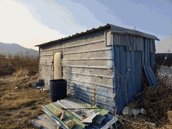전라남도 고흥군 도화면 봉룡리 1397-5