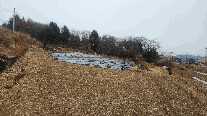 전라남도 순천시 서면 구상리 297-1