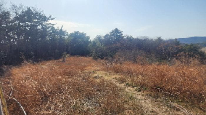 전라남도 고흥군 풍양면 고옥리 산79