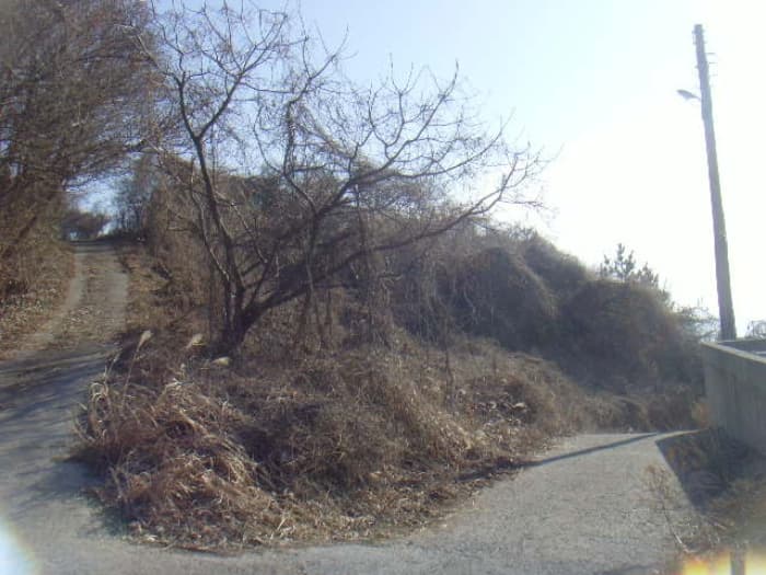 전라남도 진도군 고군면 고군용호길 135-17