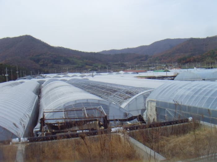 전라남도 진도군 고군면 향동리 305-2