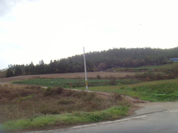 전라남도 해남군 마산면 학의리 산162-7