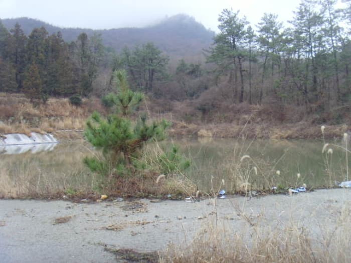 전라남도 해남군 현산면 월송리 1380-1